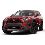 Toyota RAV4 by Climate 2019 года